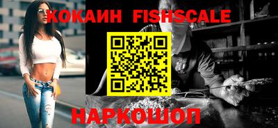 индика Камышлов