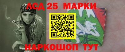 индика Камышлов