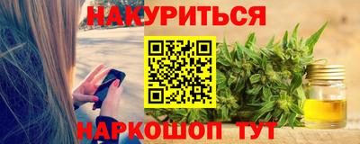 индика Камышлов