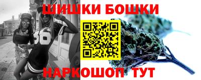 индика Камышлов