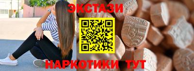индика Камышлов