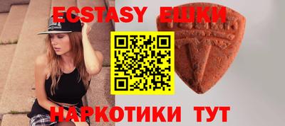 индика Камышлов