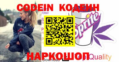 индика Камышлов