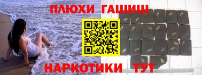 индика Камышлов