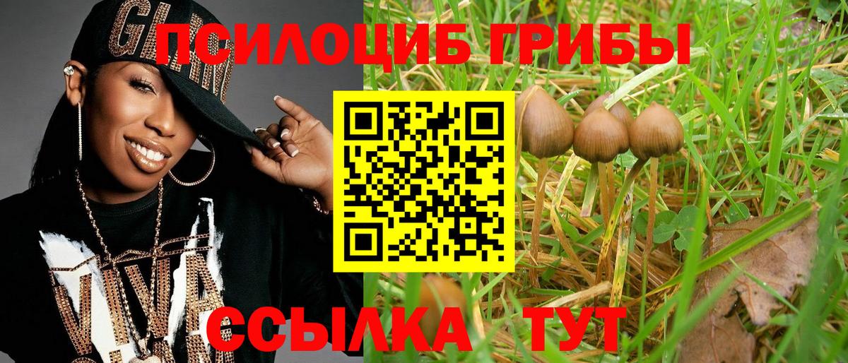 Псилоцибиновые грибы Psilocybine cubensis  где продают наркотики  Кудымкар  Вход с VPN  Псилоцибиновые грибы Psilocybine cubensis 