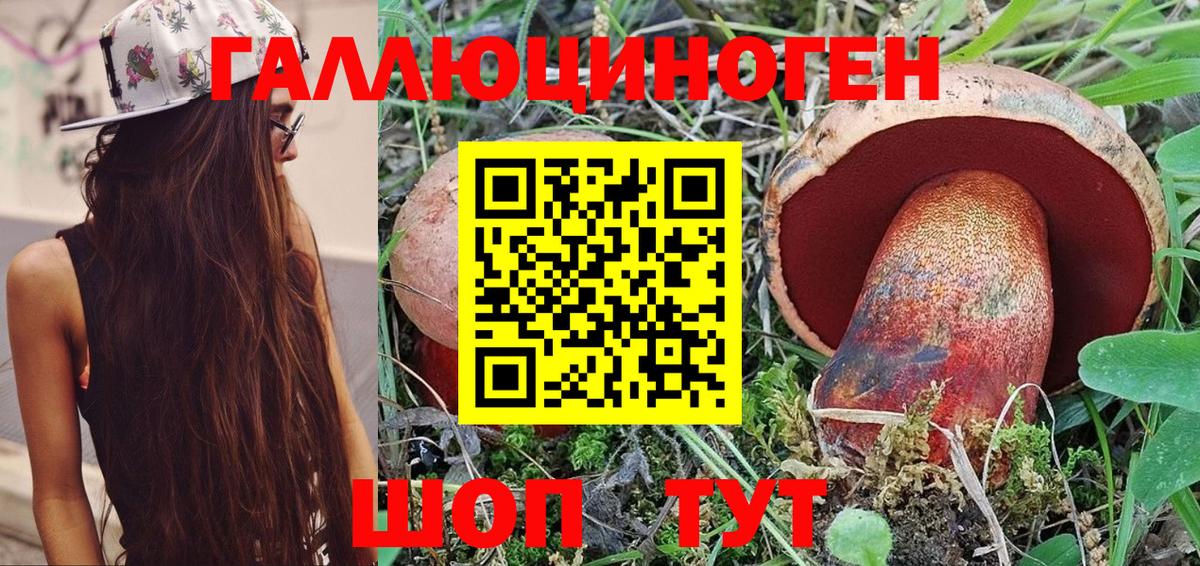 Галлюциногенные грибы Psilocybine cubensis Кудымкар